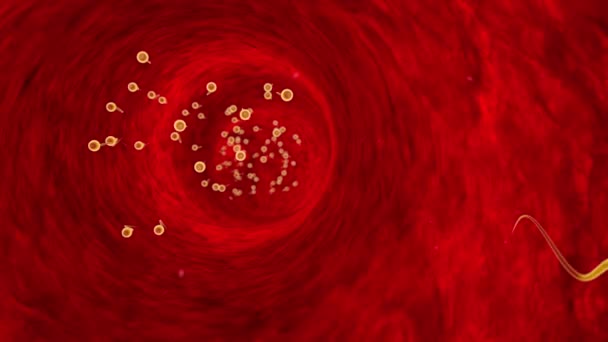 Espermatozóides concorrentes. Movimento de espermatozóides através dos tubos de Falópio. Esperma, fertilização. Animação 3D — Vídeo de Stock