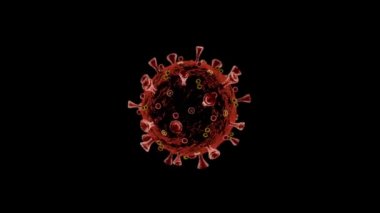Alfa kanalı dahil. Gerçekçi Coronavirus Modeli (SARS-CoV-2, Covid-19, Wuhan Coronavirus, 2019nCoV, SARS-CoV, MERS-CoV). Üç boyutlu animasyon. Hızlı Zaman, kod çözücü: PNG, 16-bit renk, en yüksek kalite. Rengin pürüzsüz derecelendirmesi, bant etkisi olmadan! 