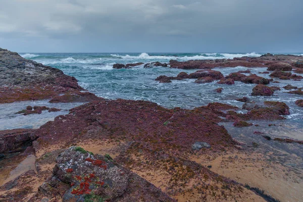 Thompsons Bay, Güney Afrika