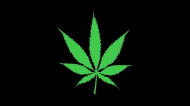 Marihuana yaprağı karikatürü