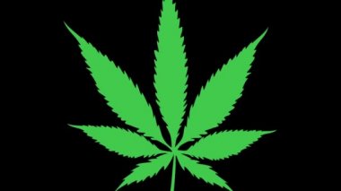 Marihuana yaprağı karikatürü