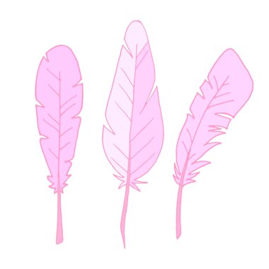 Bir çift tüy. Beyaz arka planda izole edilmiş tüyler. Taslak çizimi. Vektör. Düz çizim. Üç tüy. Pembe tüyler. Yumuşak resim.