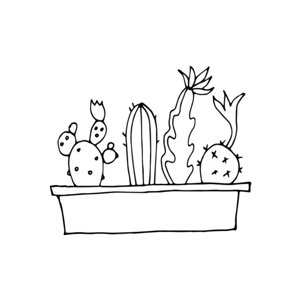 Colección Cactus Maceta Circuito Ilustración Vectorial — Vector de stock