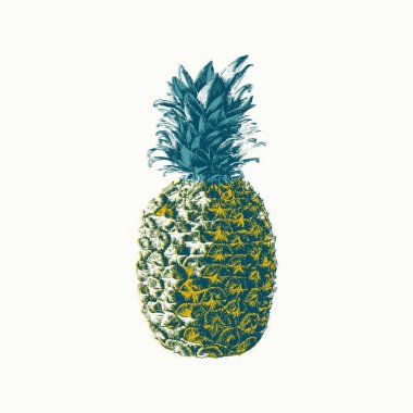 El çizimi ananas çizimi, baskı, poster. Modern renk efekti. İzole edilmiş ananas.. 