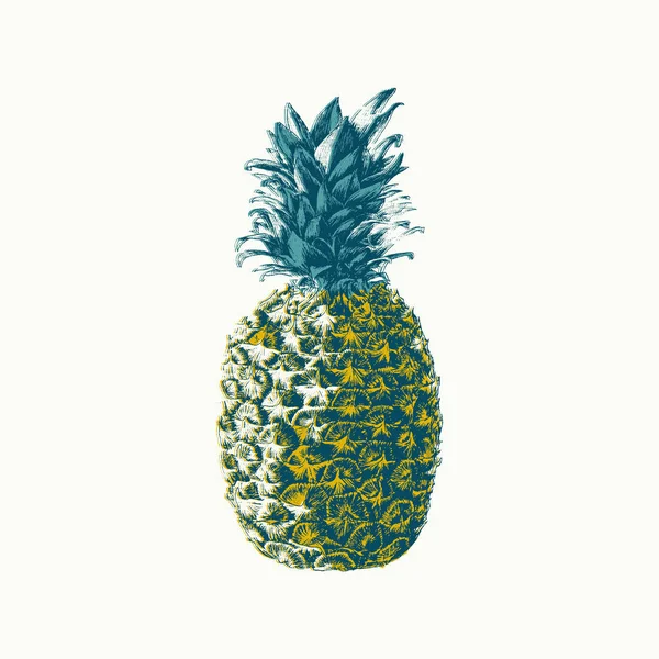 Ilustración Piña Vectorial Dibujada Mano Impresión Cartel Efecto Color Moderno — Archivo Imágenes Vectoriales