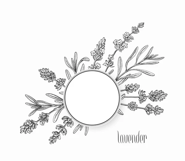 Bloemen Grafische Achtergrond Frame Vector Hand Getrokken Bladeren Bloemen Van — Stockvector