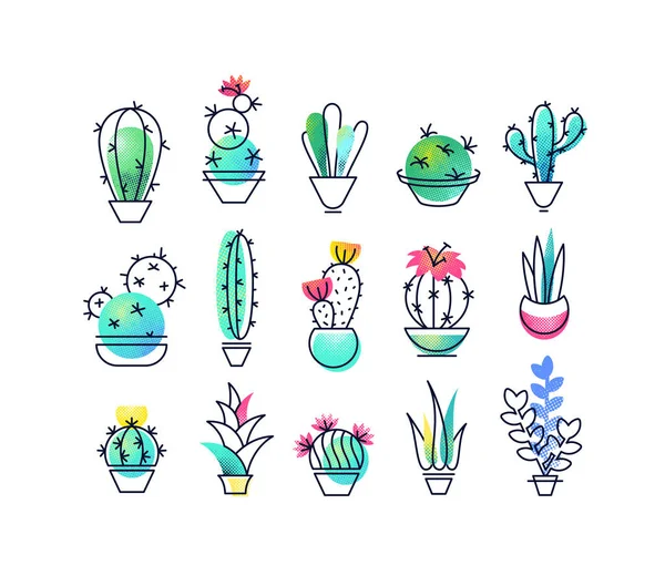 Conjunto de iconos vectoriales coloridos de plantas de interior . — Vector de stock