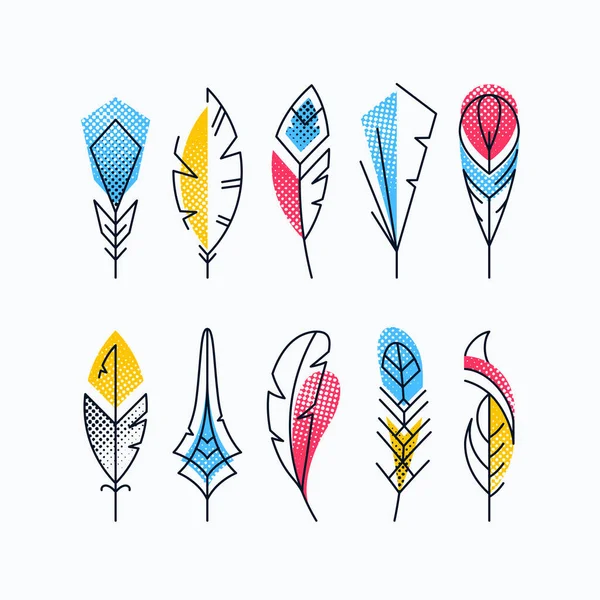 Colorful abstract feathers' set. — Stock Vector