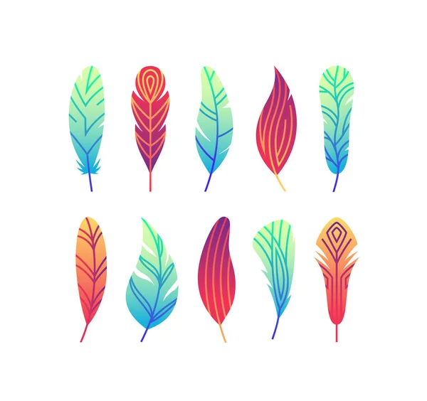 Kleur van gradient abstract veren set. — Stockvector