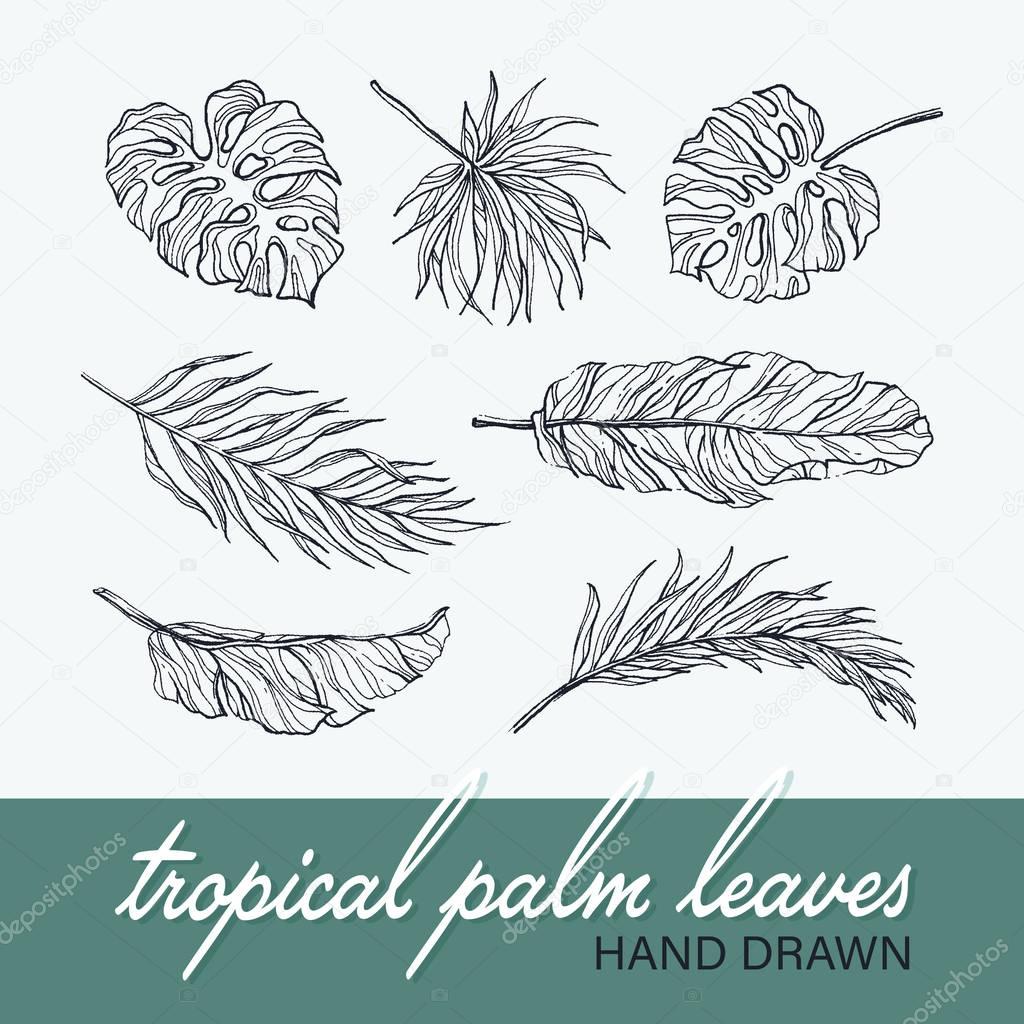Black tropical leaves' collection