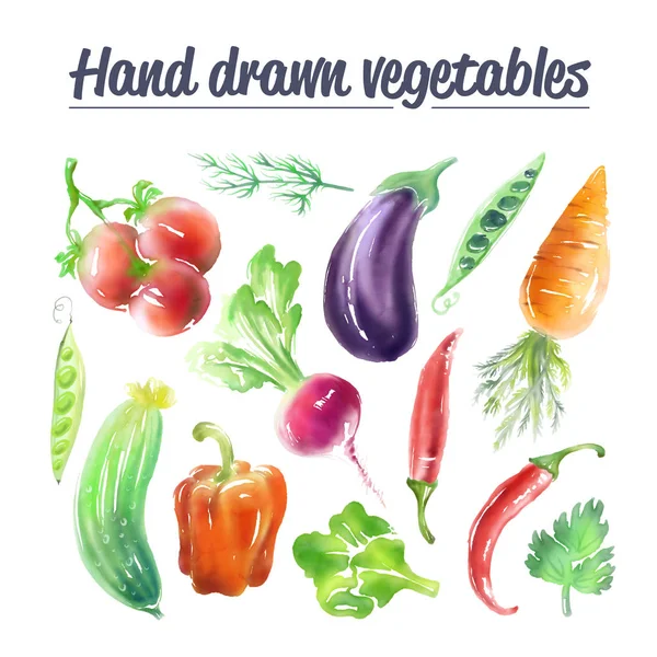 Jeu de légumes à haute résolution dessiné numériquement . — Photo