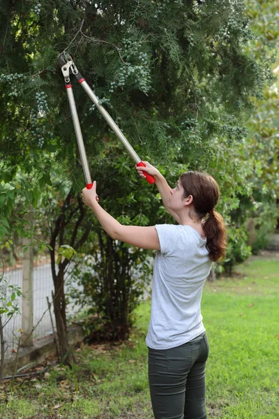 Tuinieren activiteit, boom knippen — Stockfoto