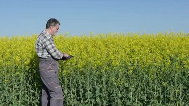 Kolza tohumu alanında çiftçi