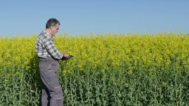 Kolza tohumu alanında çiftçi — Stok video