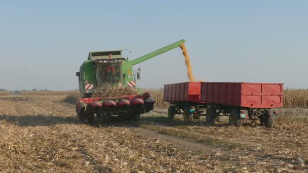 Sırbistan hasat Mısır tarlasında birleştirmek — Stok video