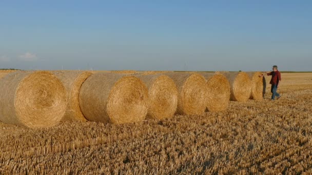 Agricultor en campo de trigo examinando la paca de paja laminada después de la cosecha — Vídeo de stock