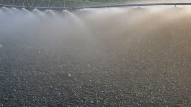 Rega de campo cultivado no início da primavera — Vídeo de Stock