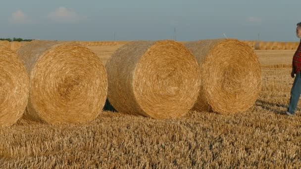 Agricultor examinando pacas en campo de trigo — Vídeos de Stock