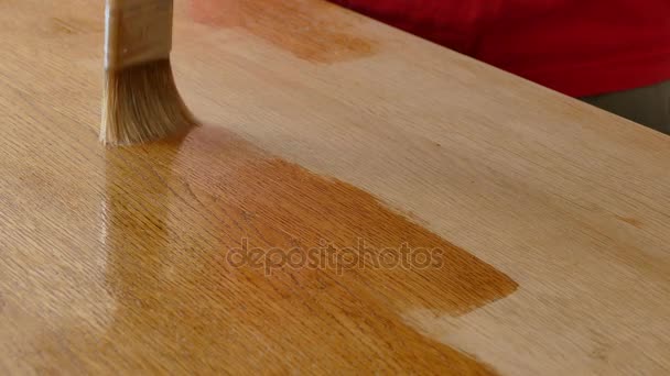 Verniciatura assi di legno — Video Stock