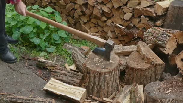 Firewood logs splitting — Stock Video