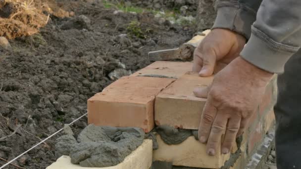 Werknemer bakstenen muur bouwen — Stockvideo