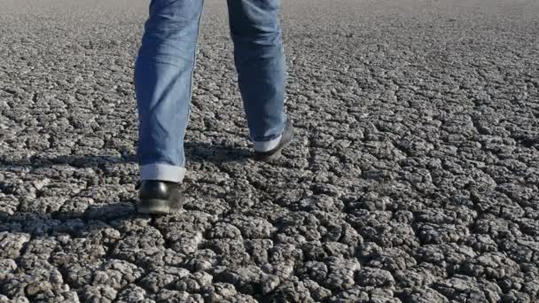 Homem Jeans Botas Andando Terra Seca Rachada Após Seca — Vídeo de Stock