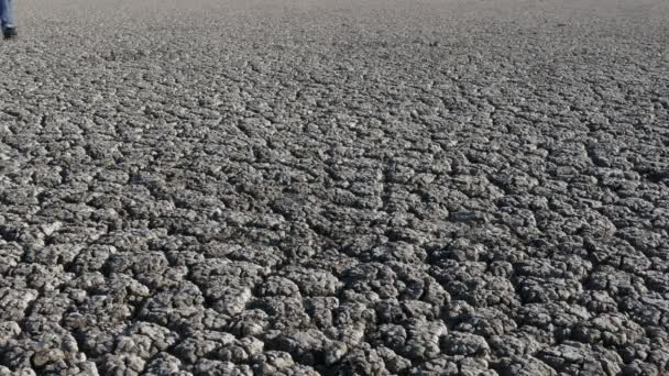 Man Jeans Boots Walking Dry Cracked Land Drought — Stock Video