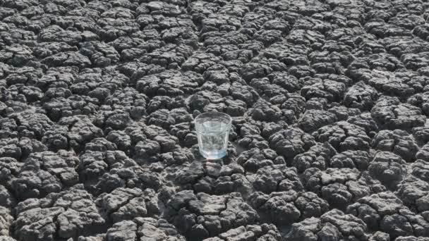 乾燥ひび割れ土地の上を歩く男 水とガラスを拾う — ストック動画