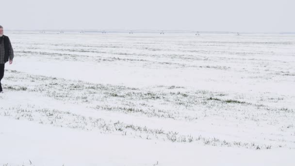 Agricultor Agrônomo Inspecionando Qualidade Trigo Sob Neve Inverno — Vídeo de Stock