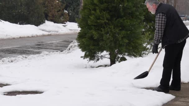 Ενηλίκων Καυκάσιος Άνθρωπος Καθαρισμού Χιόνι Από Πεζοδρόμιο Χρησιμοποιώντας Φτυάρι Χειμερινή — Αρχείο Βίντεο