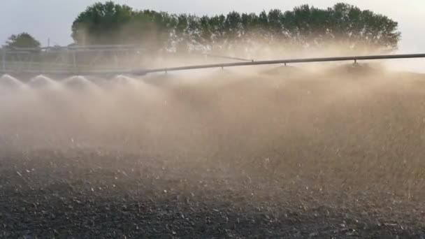 Drenken Van Gecultiveerd Veld Vroege Voorjaar Irrigatie Apparatuur Sproeien Van — Stockvideo