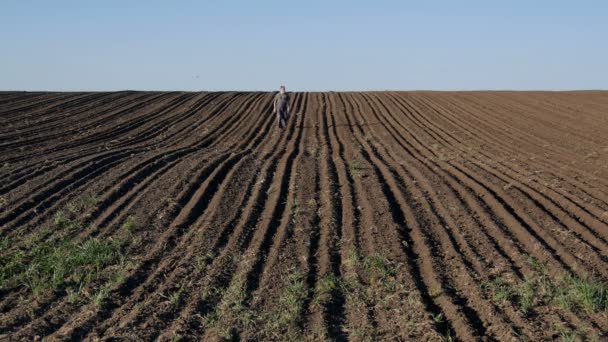 Caminante Campesino Campo Cultivado Listo Para Sembrar — Vídeos de Stock