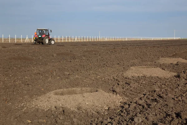 Agujeros de perforación en el campo, preparación para la plantación de árboles —  Fotos de Stock