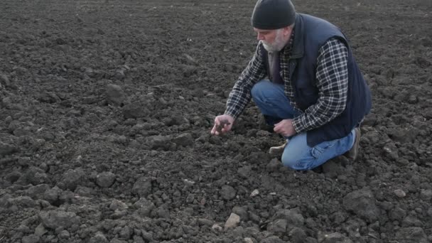Tarım Çiftçi Tarımcı Tablet Kullanarak Tarladaki Toprağın Kalitesini Inceliyor — Stok video