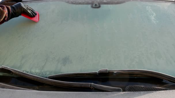 Driver Cleaning Frozen Ice Windshield Car Using Scraper Window Ice — 비디오