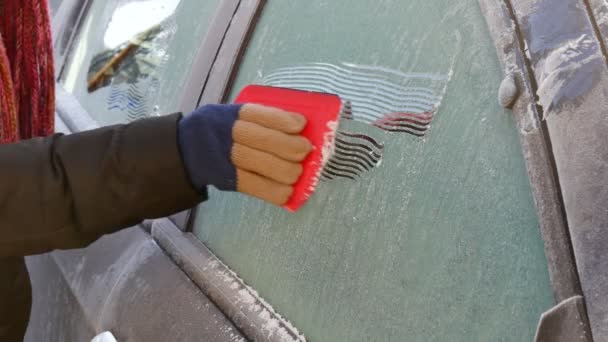 Driver Cleaning Frozen Ice Car Glass Using Scraper Window Ice — Stock Video
