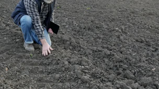 Сельское Хозяйство Фермер Агроном Изучают Качество Почвы Поле Помощью Планшета — стоковое видео