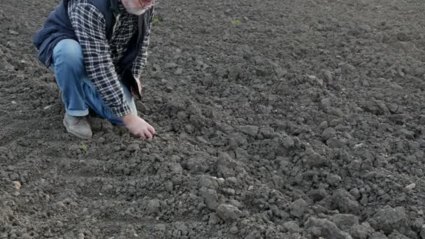 农民或农学家研究田里土壤的质量 — 图库视频影像