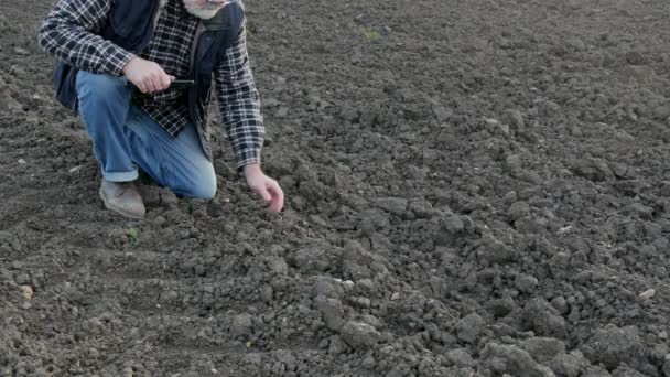 Tarımcı Çiftçi Tarımcı Masa Kullanarak Tarladaki Toprağın Kalitesini Inceliyor — Stok video