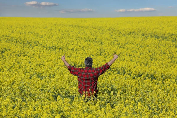 開花菜の花フィールドで身振りで示す農家 — ストック写真