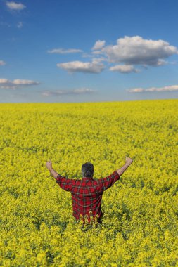 Ziraat Mühendisi veya çiftçi muayene çiçek açması kanola alan ve başparmak yukarı, kolza tohumu bitki, erken bahar el hareketi