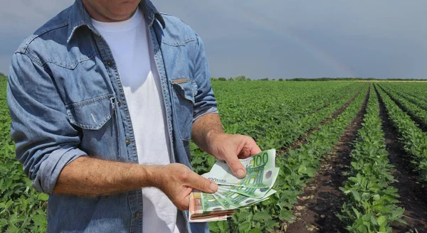 农民手中拿着欧元钞票 背景是绿豆田的天空和彩虹 — 图库照片