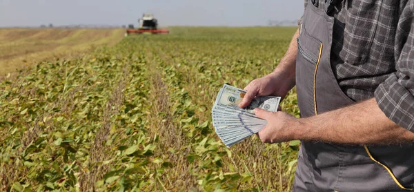 农民手握美元钞票 背景是大豆收获地相结合 — 图库照片