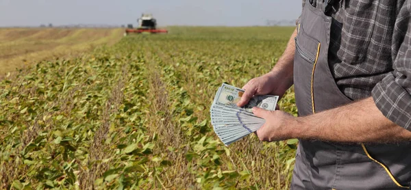 Mani Contadine Possesso Banconote Dollari Con Mietitrebbia Campo Soia Sullo — Foto Stock