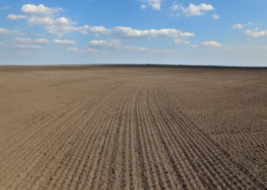 Baharda ekilmiş tarlalar mavi gökyüzü ve bulutlar, tarım çalışmaları