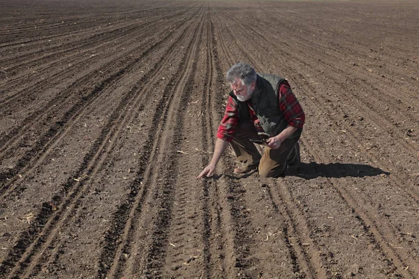 Wiosną Wysiewie Rolnik Lub Agronomista Przeprowadza Oględziny Gruntu Polu Tabletkami — Zdjęcie stockowe