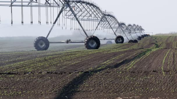 Champ Soja Début Printemps Avec Système Irrigation Pour Approvisionnement Eau — Video