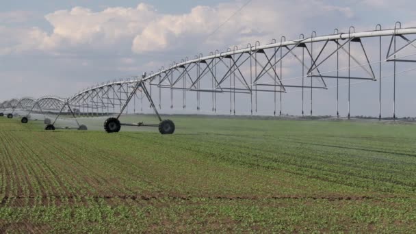 Panning Vídeo Sistema Irrigação Para Abastecimento Água Campo Planta Ervilha — Vídeo de Stock