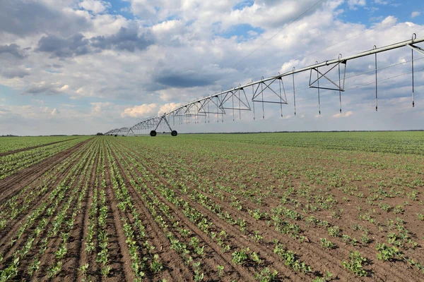 Irrigatiesysteem Voor Watervoorziening Erwtenvelden Besproeiingsinstallaties — Stockfoto