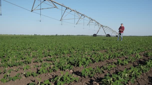 Jordbrukare Eller Agronomer Undersöker Sojabönsfält Med Bevattningssystem Och Talar Mobiltelefon — Stockvideo